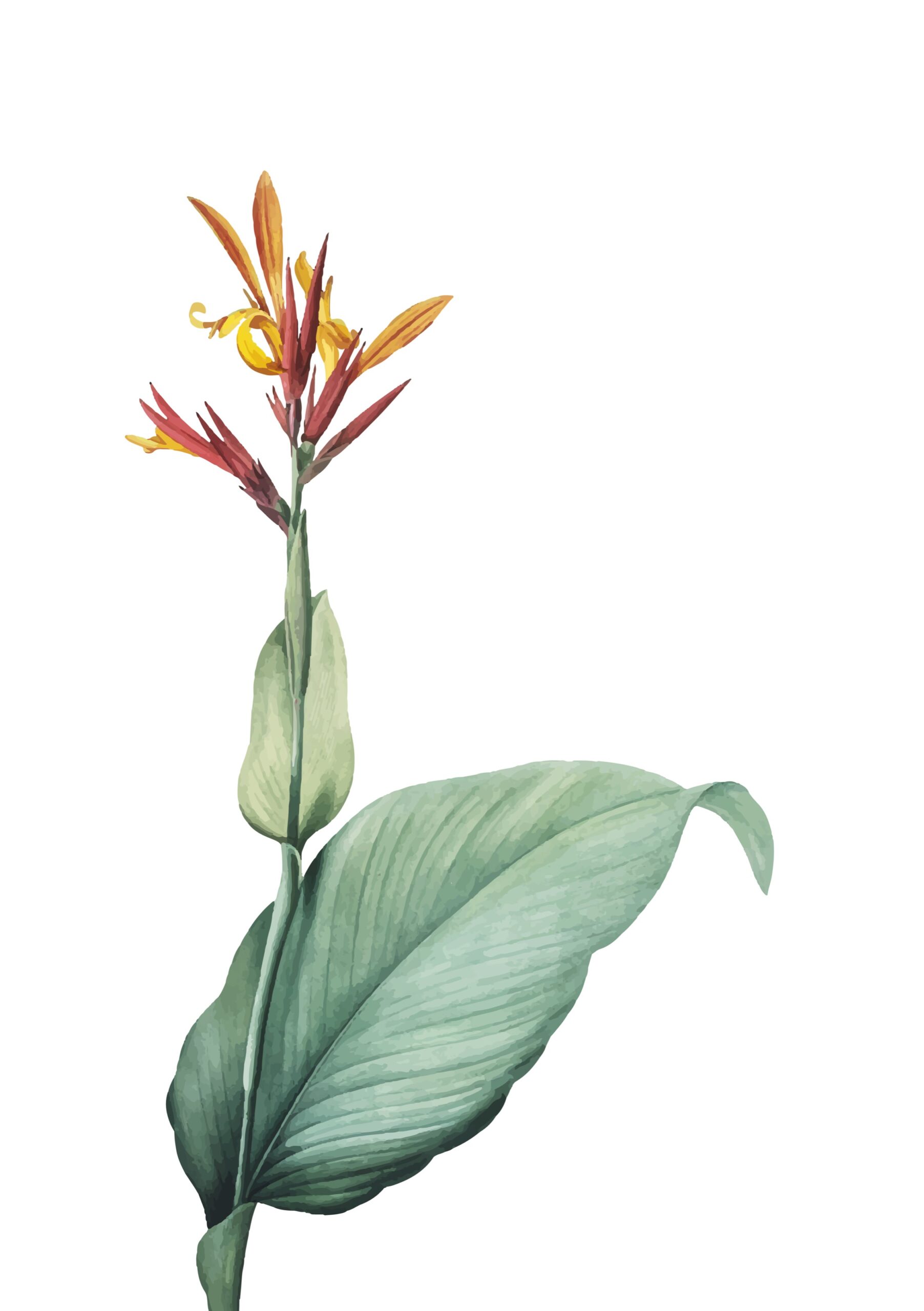 BD_DrinksMenu_A5_2025_06_18_Seite_02