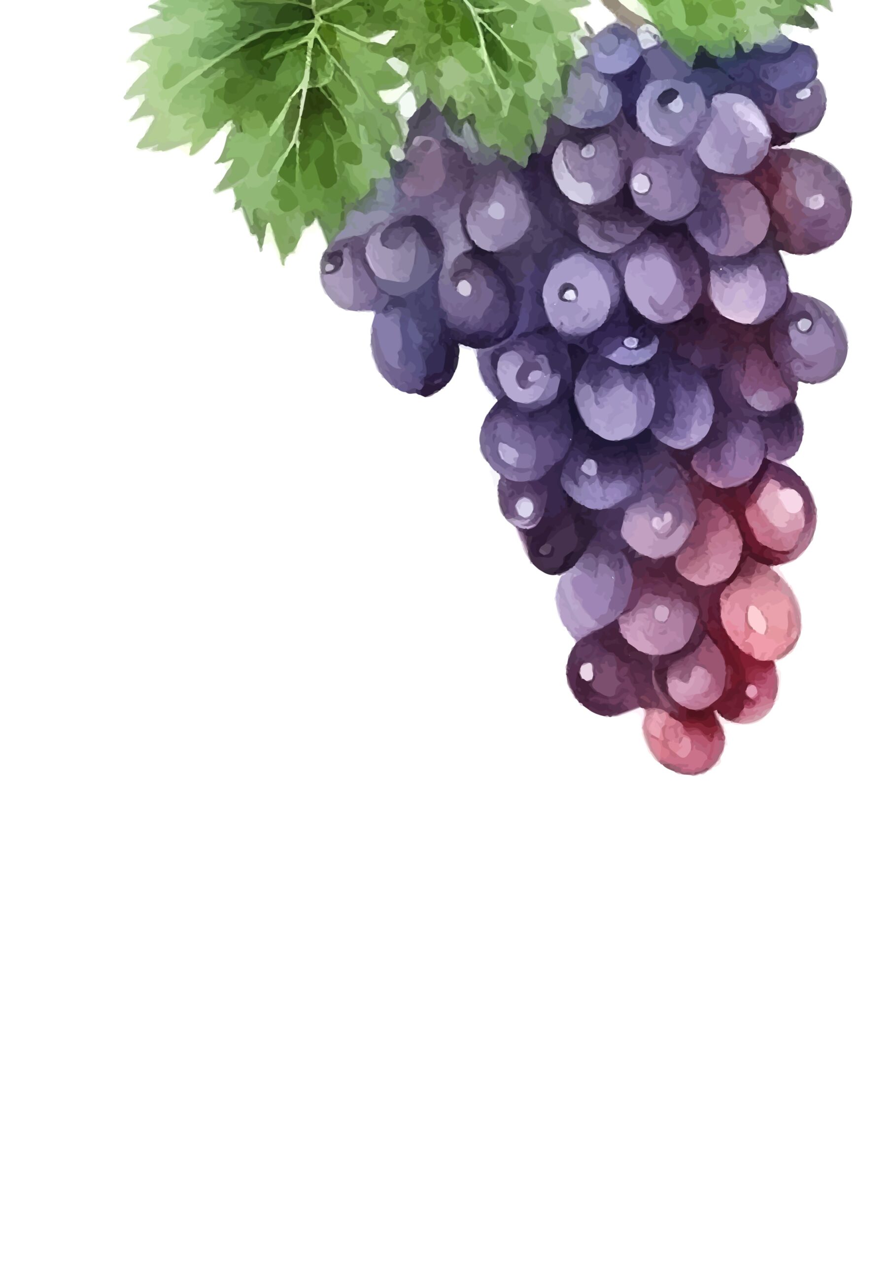 BD_DrinksMenu_A5_2025_06_18_Seite_29